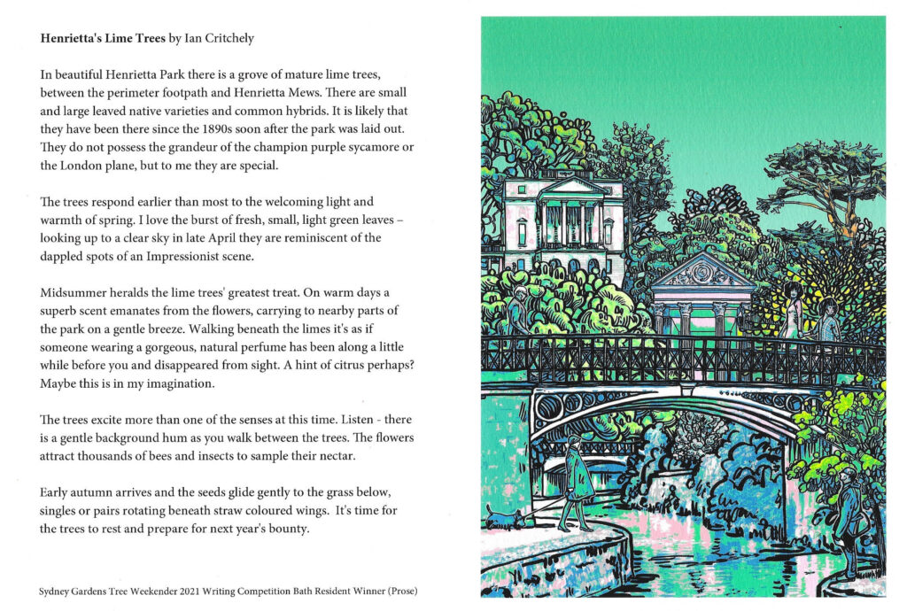 Henrietta's Lime Trees